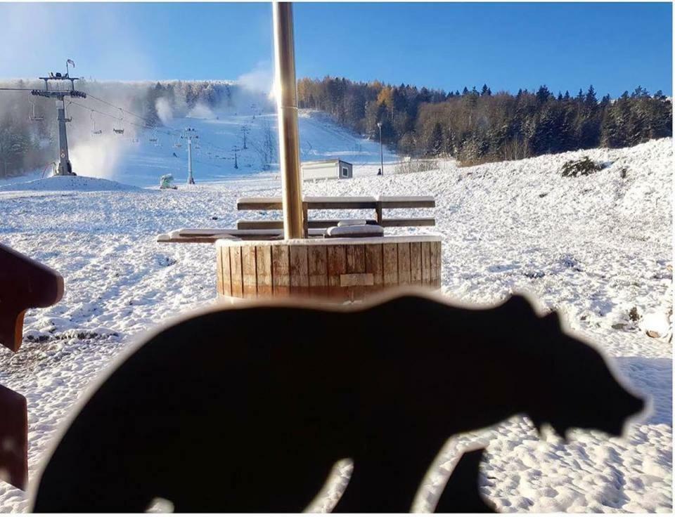 Pensjonat Laworta Ski Ustrzyki Dolne Luaran gambar